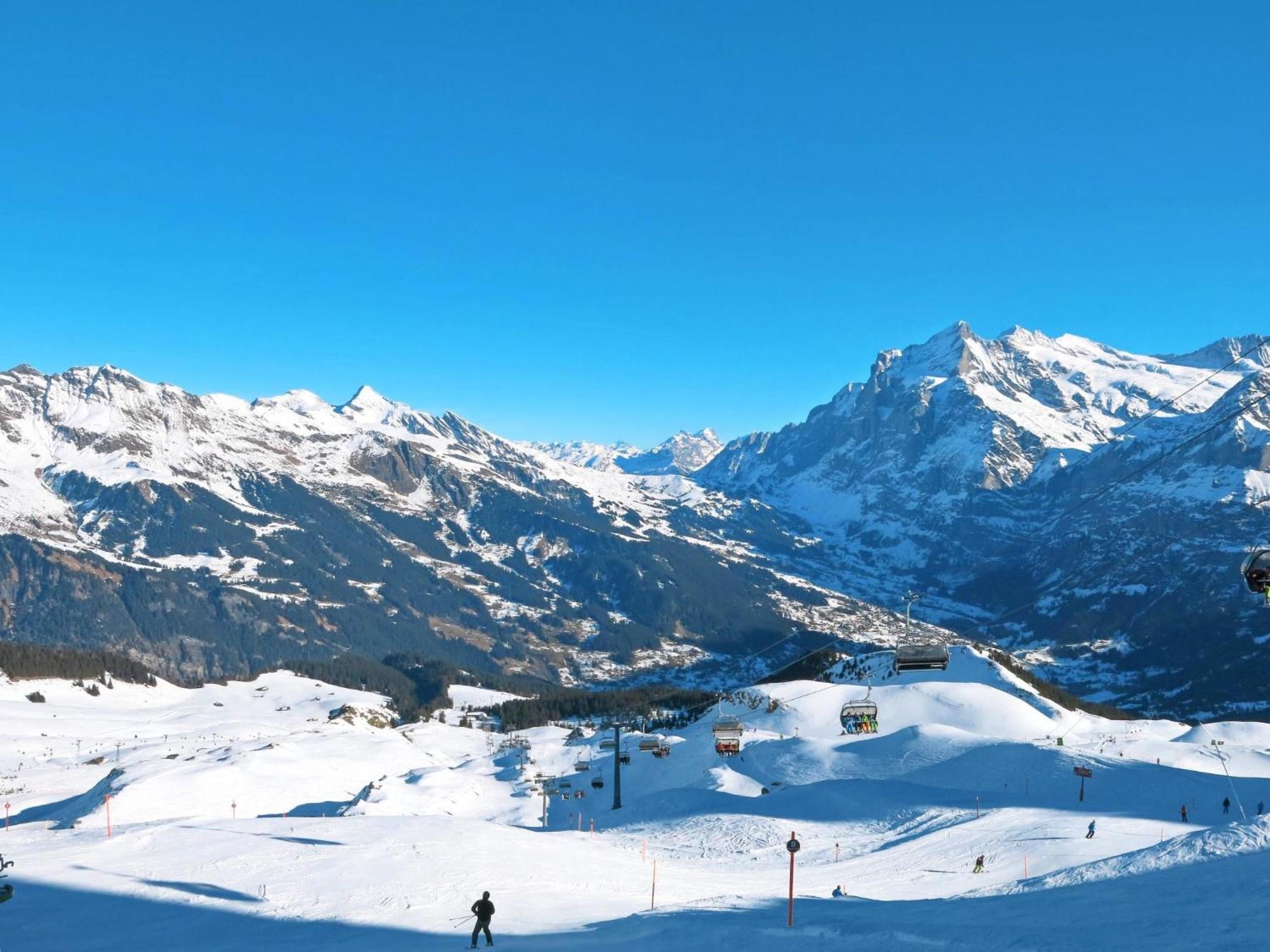 Apartment Chalet Auf Dem Vogelstein-2 By Interhome Grindelwald Dış mekan fotoğraf