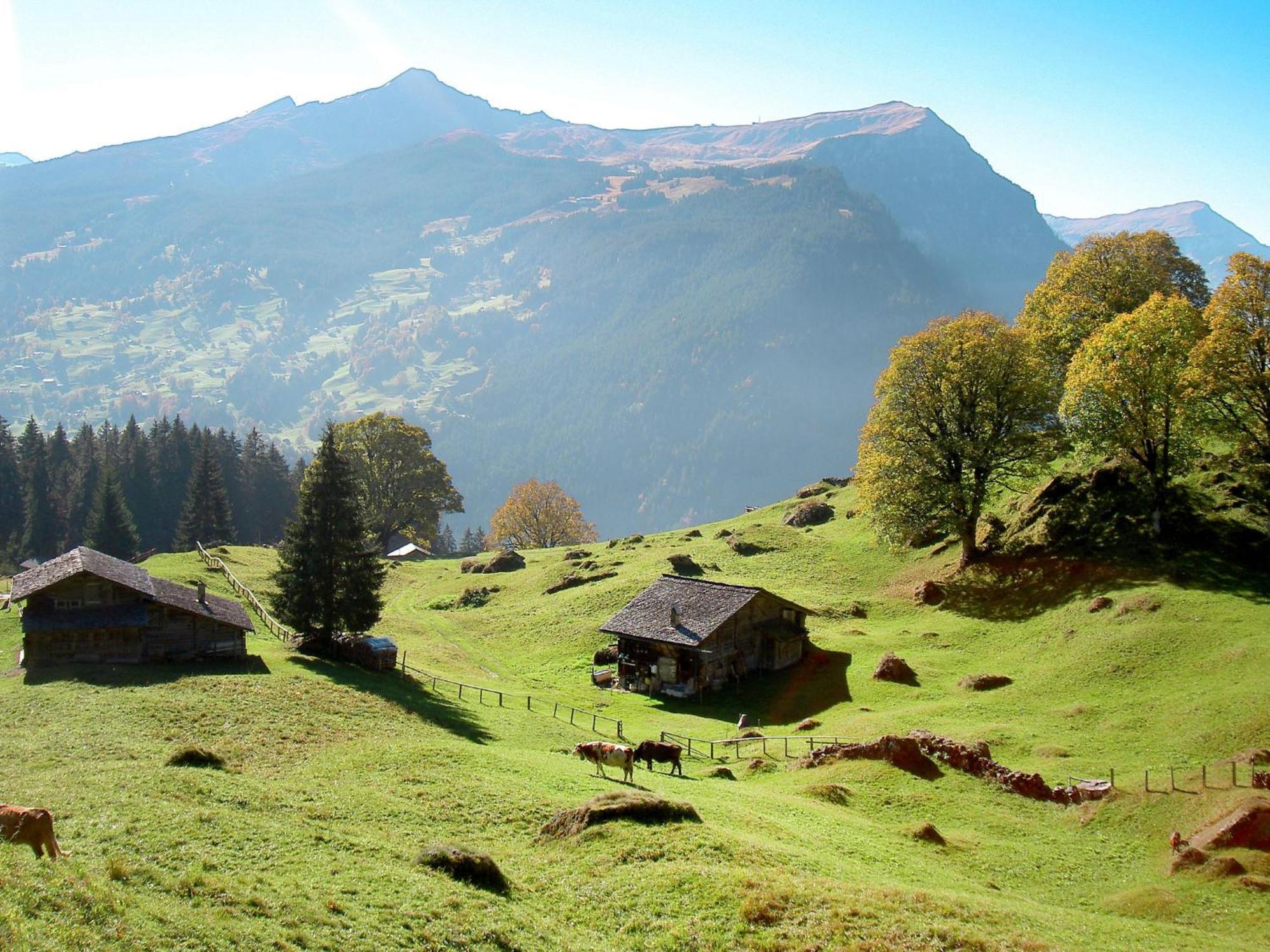 Apartment Chalet Auf Dem Vogelstein-2 By Interhome Grindelwald Dış mekan fotoğraf