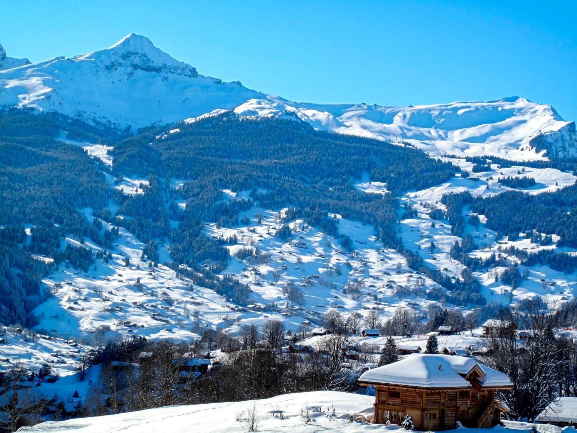 Apartment Chalet Auf Dem Vogelstein-2 By Interhome Grindelwald Dış mekan fotoğraf