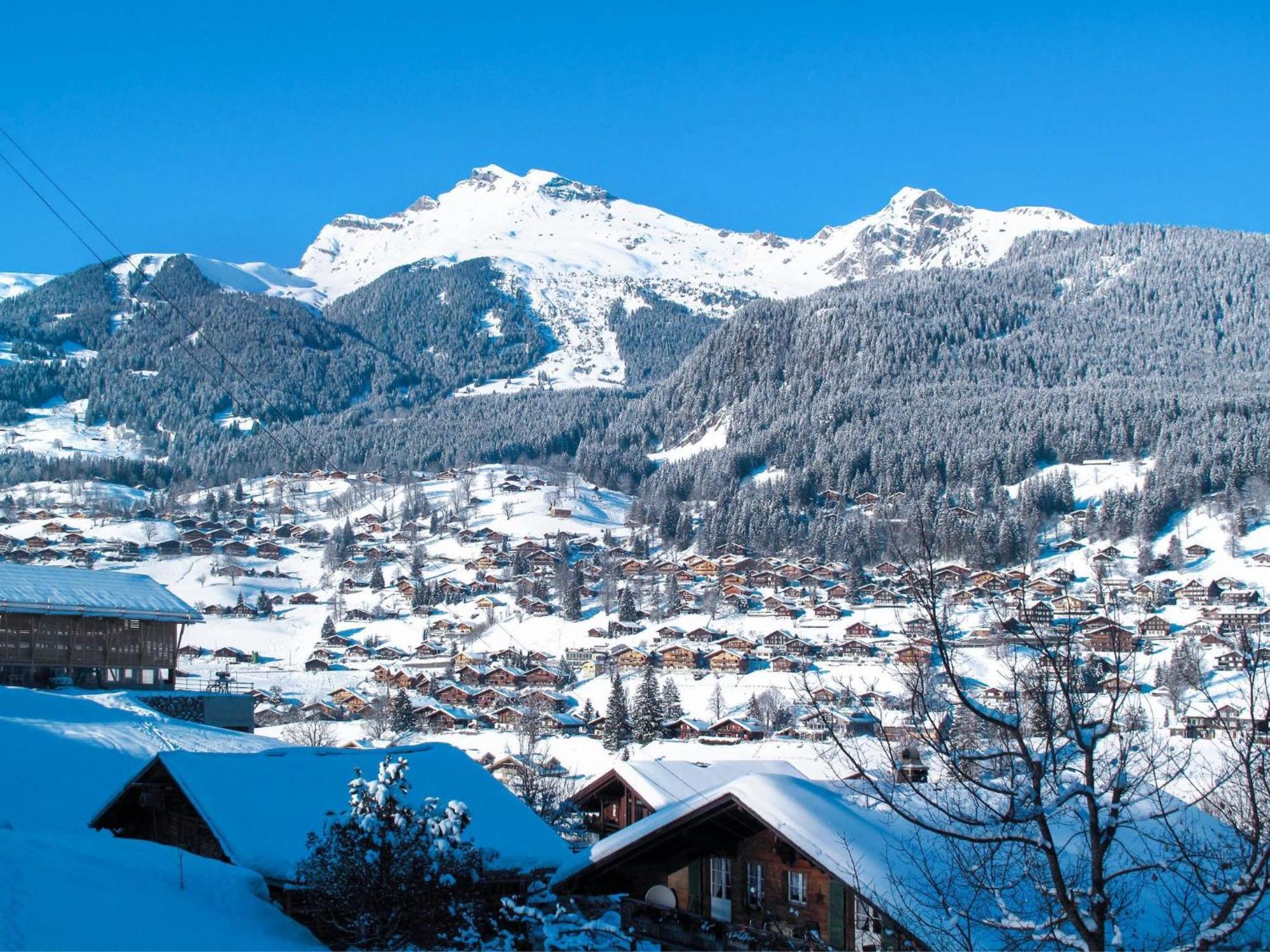 Apartment Chalet Auf Dem Vogelstein-2 By Interhome Grindelwald Dış mekan fotoğraf