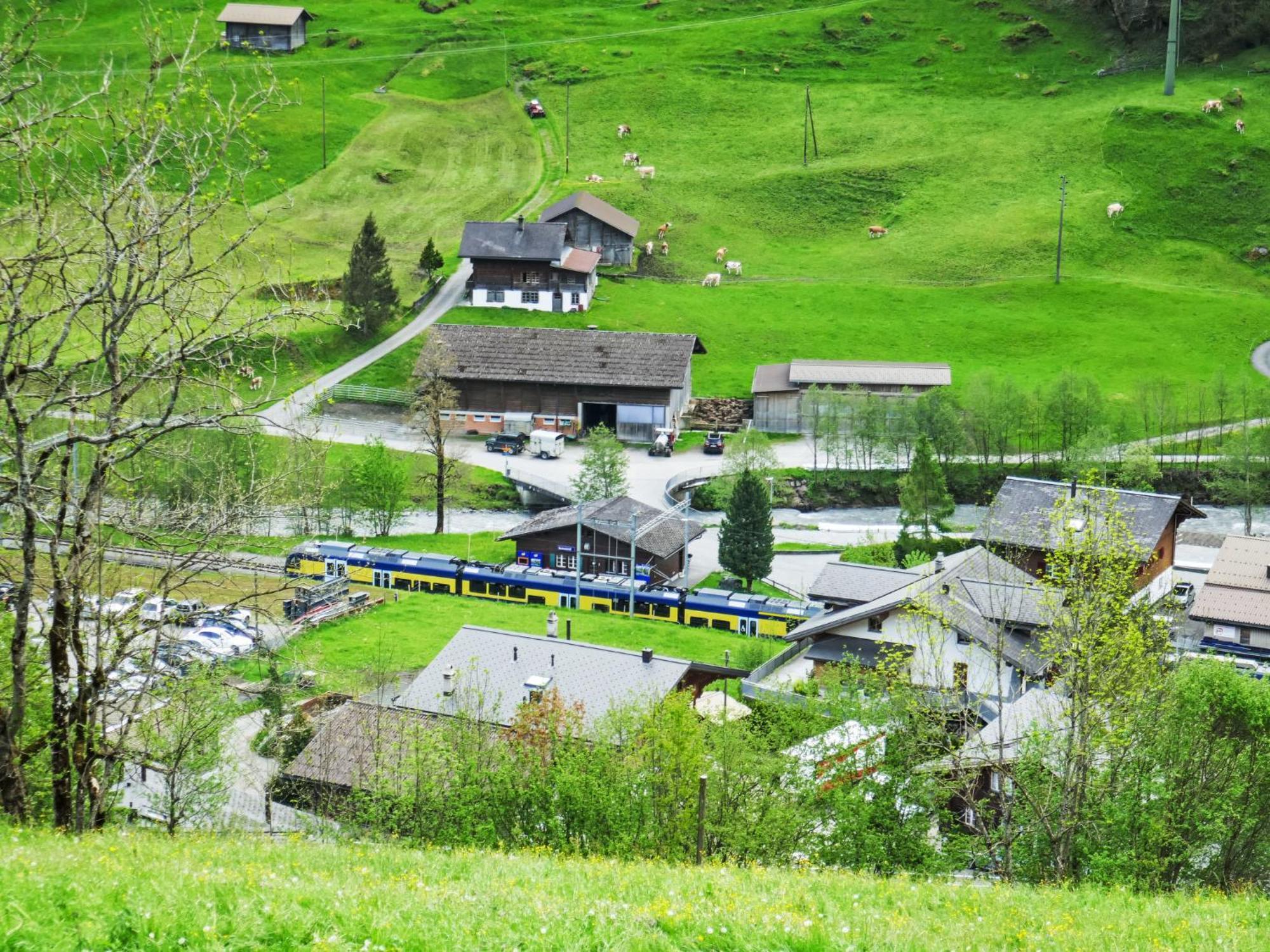 Apartment Chalet Auf Dem Vogelstein-2 By Interhome Grindelwald Dış mekan fotoğraf