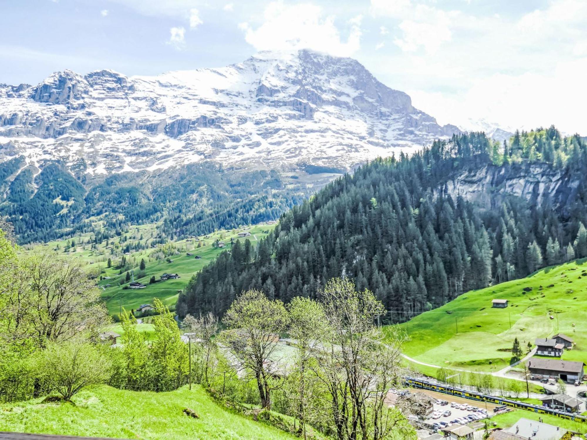 Apartment Chalet Auf Dem Vogelstein-2 By Interhome Grindelwald Dış mekan fotoğraf