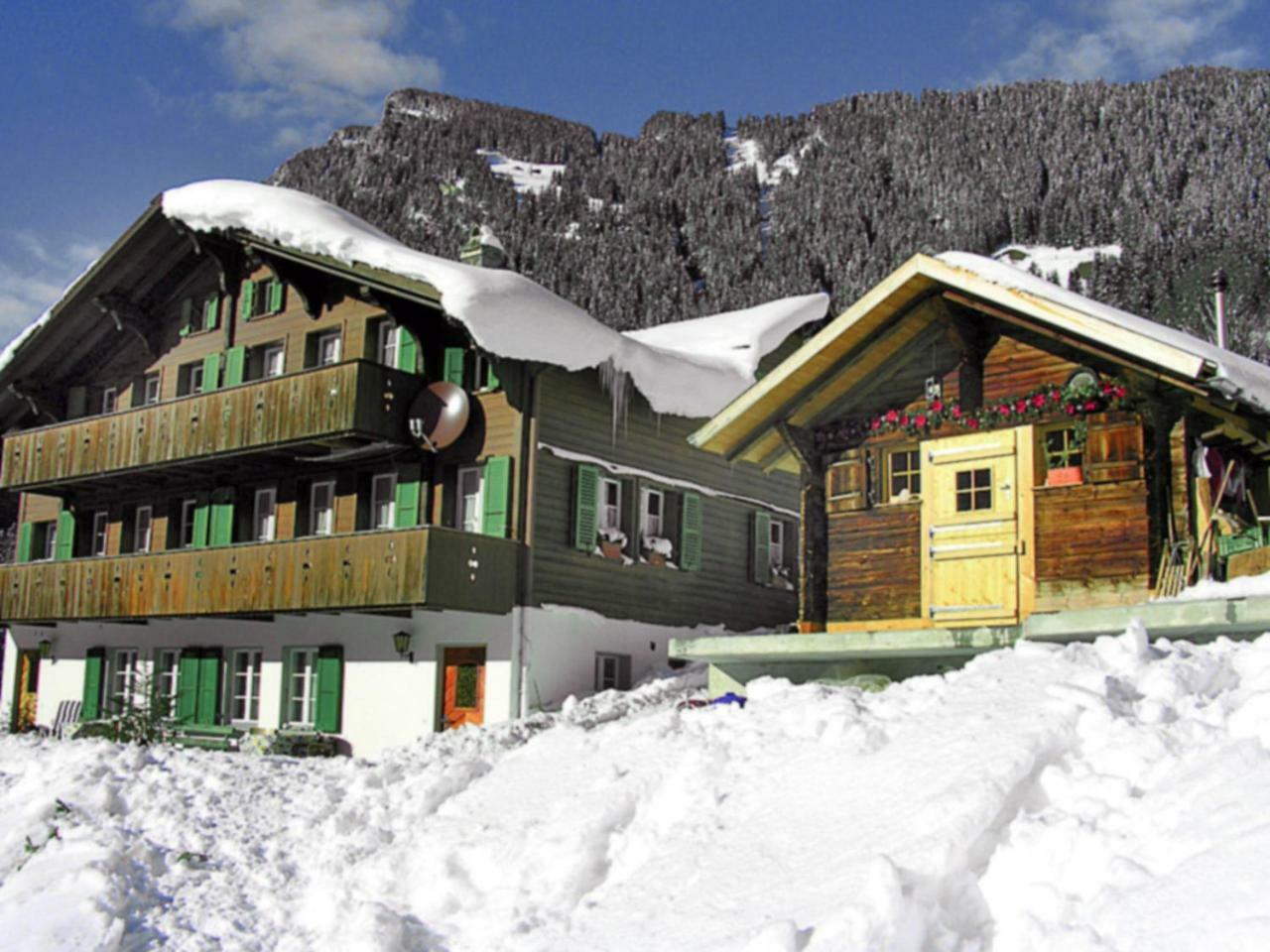Apartment Chalet Auf Dem Vogelstein-2 By Interhome Grindelwald Dış mekan fotoğraf