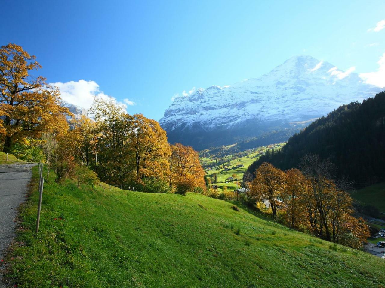 Apartment Chalet Auf Dem Vogelstein-2 By Interhome Grindelwald Dış mekan fotoğraf